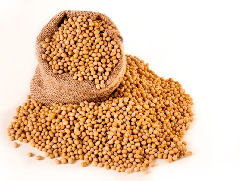 dried chickpeas