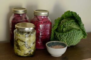 fermented red and white cabbage