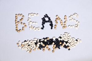 legumes are a plant protein