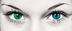 blue eye and green eye