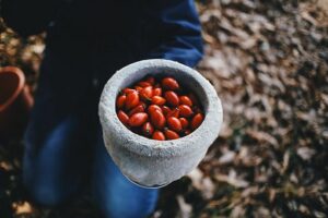 fresh rosehips