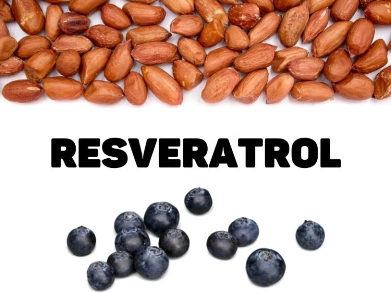 What is Resveratrol in? The Highest Food Sources