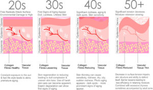 diagram on teleomers and anti aging