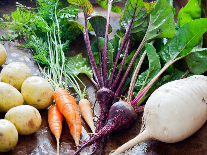 root vegetables