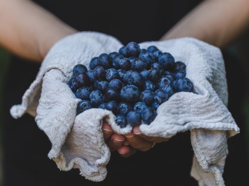 handful of blueberries