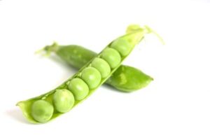 raw peas in their pod