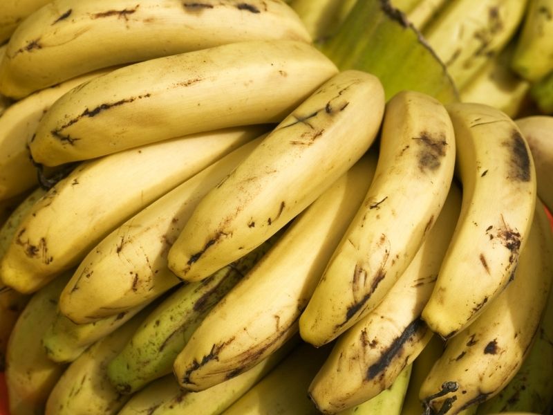 bunch of ripe bananas