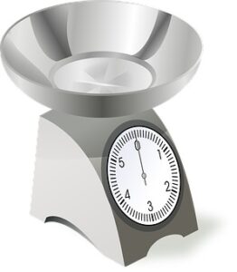 food weighing scales