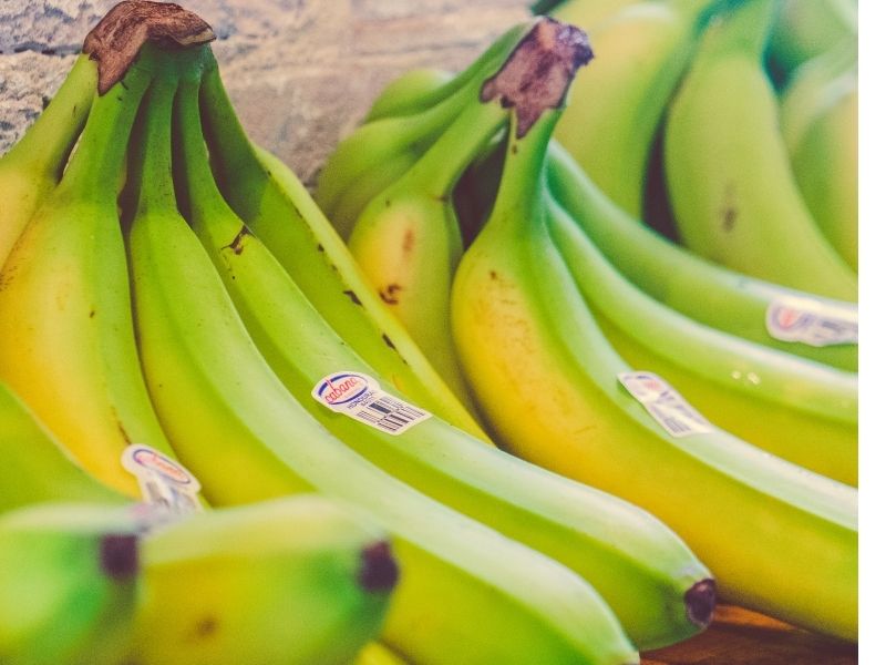 bunch of unripe bananas