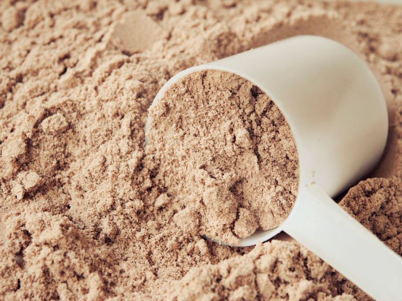 chocolate protein powder