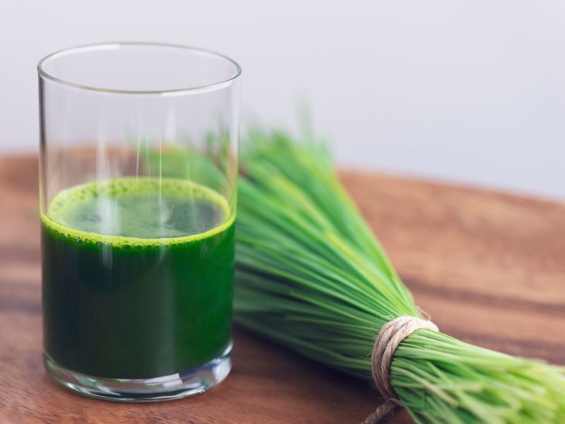 wheatgrass shot