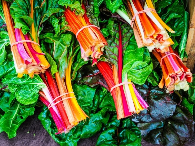 rainbow chard