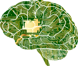 diagram of neural pathways in the human brain