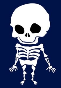 human skeleton