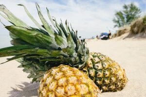 pineapple on tropical beach