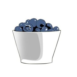 bowl of blueberries