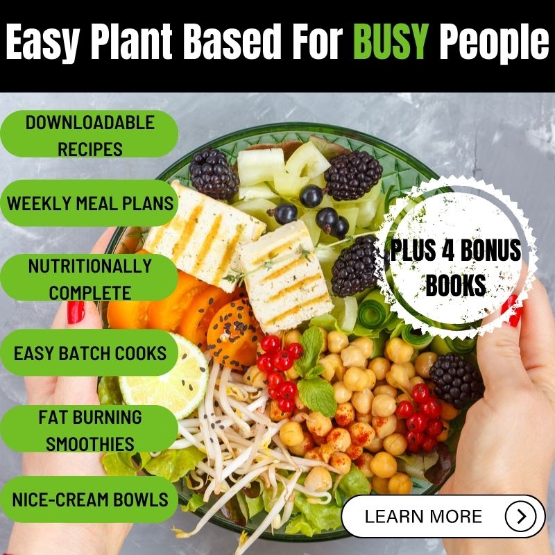 plant based meal plans