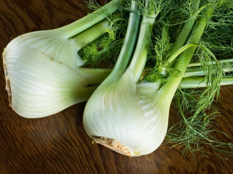 raw fennel bulb