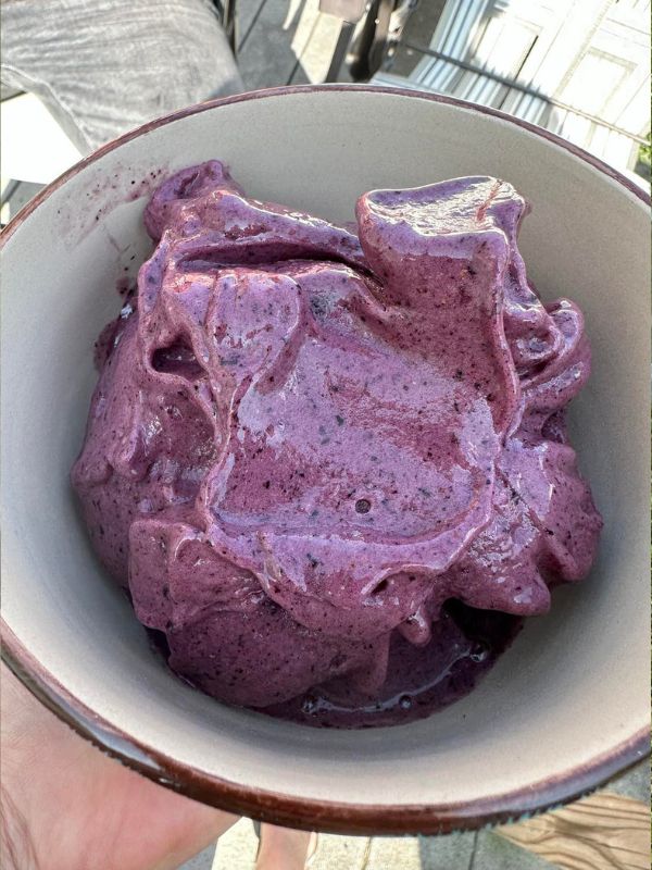 blueberry ice-cream