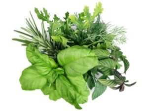 mixed fresh herbs