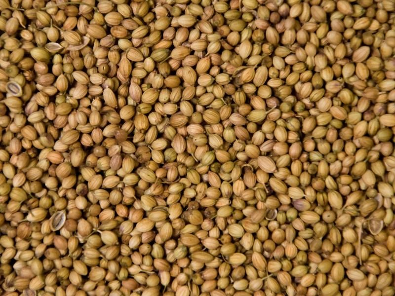 whole hemp seeds
